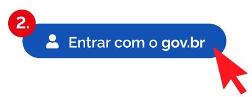 para entrar no Sistema Eletrônico de Informações (SEI) e preciso de seu login e senha do GOV.BR