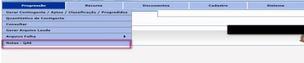 Como lançar notas progressão QAE 2024 e 2025 no portal net
